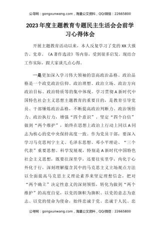 2023年度主题教育专题民主生活会会前学习心得体会