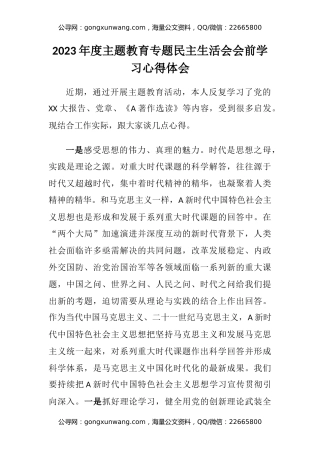 2023年度主题教育专题民主生活会会前学习心得体会 (2)