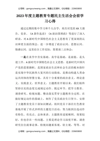 2023年度主题教育专题民主生活会会前学习心得体会（2）