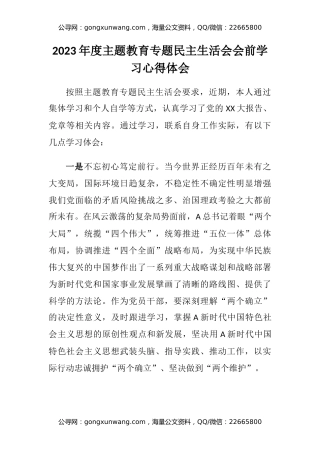 2023年度主题教育专题民主生活会会前学习心得体会（4）
