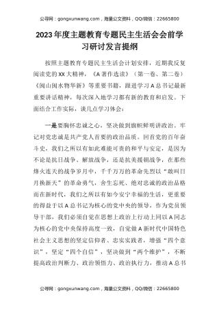 2023年度主题教育专题民主生活会会前学习研讨发言提纲