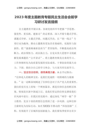 2023年度主题教育专题民主生活会会前学习研讨发言提纲 (12)