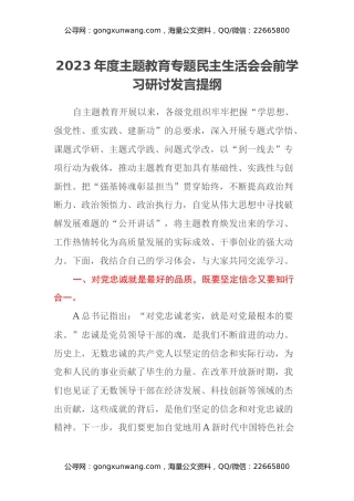 2023年度主题教育专题民主生活会会前学习研讨发言提纲 (13)