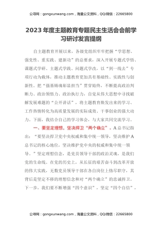 2023年度主题教育专题民主生活会会前学习研讨发言提纲 (14)