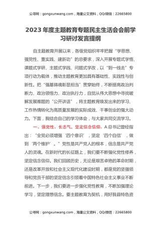 2023年度主题教育专题民主生活会会前学习研讨发言提纲 (19)