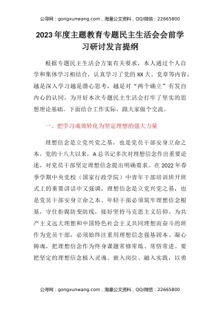 2023年度主题教育专题民主生活会会前学习研讨发言提纲 (2)