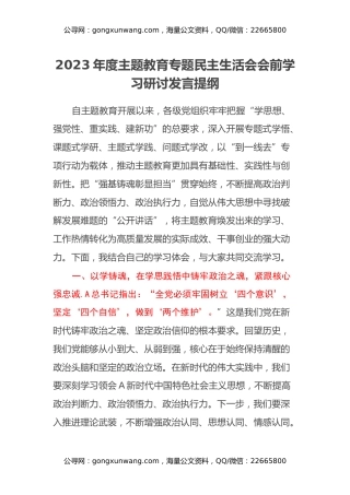 2023年度主题教育专题民主生活会会前学习研讨发言提纲 (21)