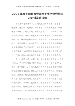2023年度主题教育专题民主生活会会前学习研讨发言提纲 (22)