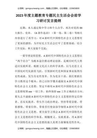 2023年度主题教育专题民主生活会会前学习研讨发言提纲 (3)