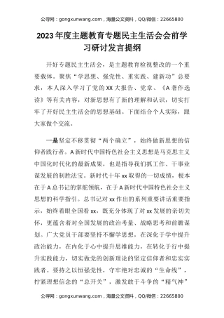2023年度主题教育专题民主生活会会前学习研讨发言提纲 (4)