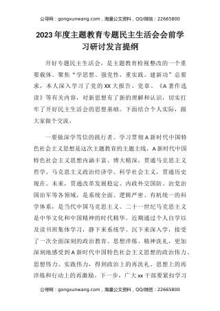 2023年度主题教育专题民主生活会会前学习研讨发言提纲 (5)