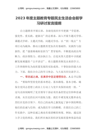 2023年度主题教育专题民主生活会会前学习研讨发言提纲 (8)
