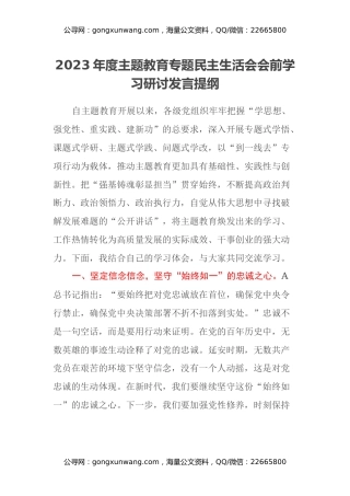 2023年度主题教育专题民主生活会会前学习研讨发言提纲 (9)
