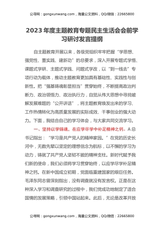 2023年度主题教育专题民主生活会会前学习研讨发言提纲(1)