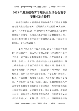2023年度主题教育专题民主生活会会前学习研讨发言提纲（3）