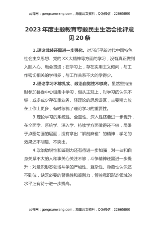 2023年度主题教育专题民主生活会批评意见20条