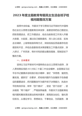 2023年度主题教育专题民主生活会班子检视问题整改方案 (2)