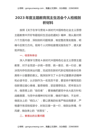 2023年度主题教育民主生活会个人检视剖析材料