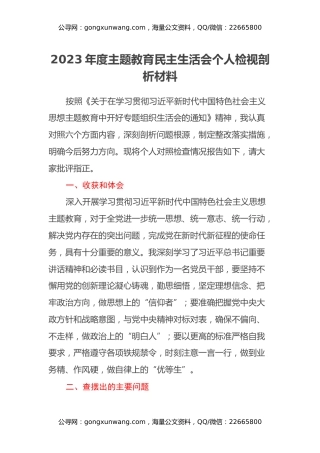 2023年度主题教育民主生活会个人检视剖析材料（2）