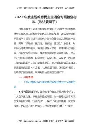2023年度主题教育民主生活会对照检查材料（政法委班子、八个方面、政绩观+意识形态）