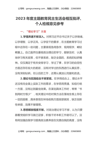 2023年度主题教育民主生活会相互批评、个人检视意见参考