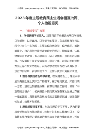 2023年度主题教育民主生活会相互批评、个人检视意见参考 (2)