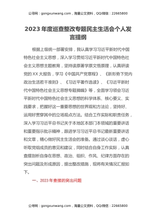 2023年度巡查整改专题民主生活会个人发言提纲