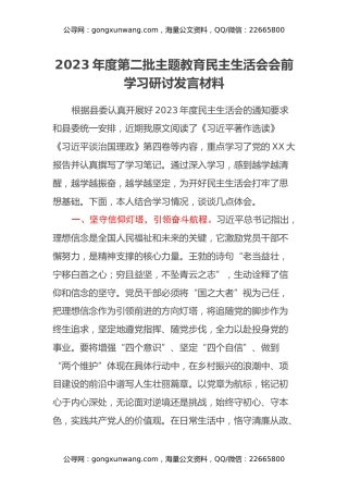 2023年度第二批主题教育民主生活会会前学习研讨发言材料