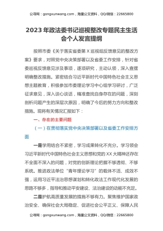 2023年政法委书记巡视整改专题民主生活会个人发言提纲