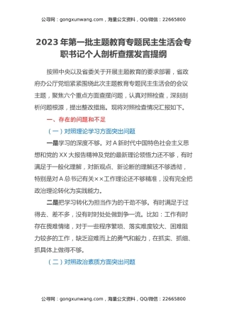 2023年第一批主题教育专题民主生活会专职书记个人剖析查摆发言提纲