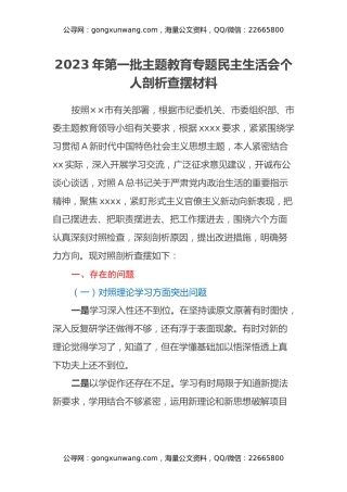 2023年第一批主题教育专题民主生活会个人剖析查摆材料