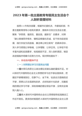 2023年第一批主题教育专题民主生活会个人剖析查摆材料（2）