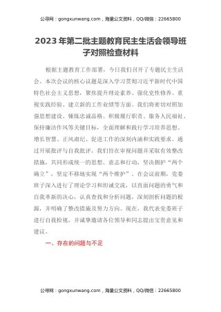 2023年第二批主题教育民主生活会领导班子对照检查材料（2）