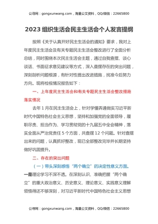 2023组织生活会民主生活会个人发言提纲