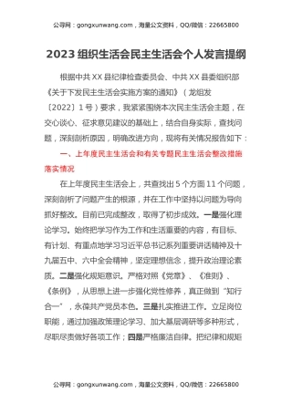 2023组织生活会民主生活会个人发言提纲 (2)