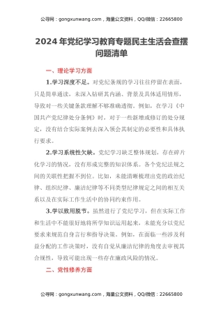 2024年党纪学习教育专题民主生活会查摆问题清单