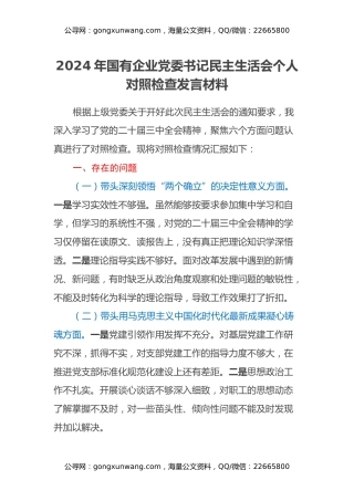 2024年国有企业党委书记民主生活会个人对照检查发言材料