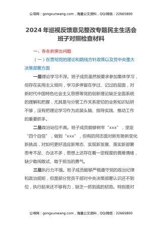 2024年巡视反馈意见整改专题民主生活会班子对照检查材料