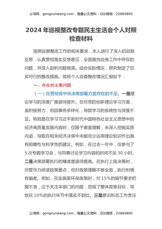 2024年巡视整改专题民主生活会个人对照检查材料