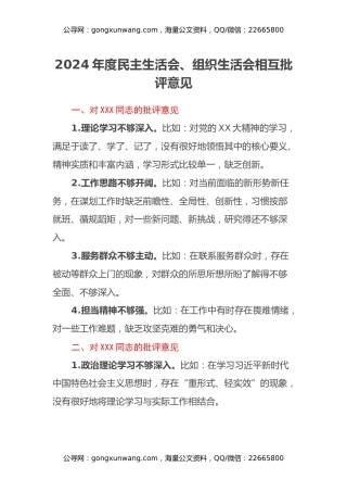 2024年度民主生活会、组织生活会相互批评意见