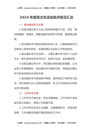 2024年度民主生活会批评意见汇总