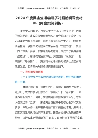 2024年度民主生活会班子对照检视发言材料（内含案例剖析）