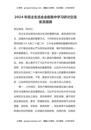 2024年民主生活会会前集中学习研讨交流发言提纲