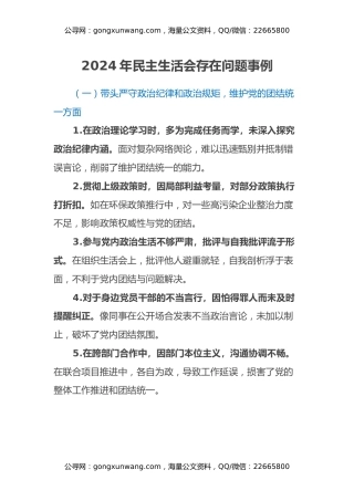 2024年民主生活会存在问题事例