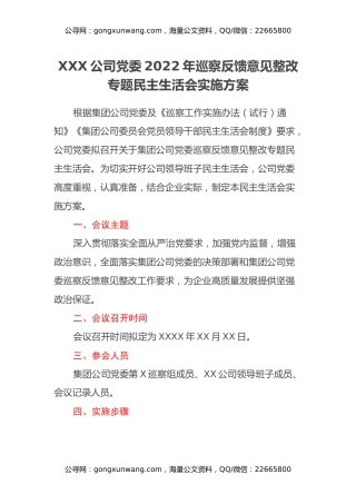 XXX公司党委2022年巡察反馈意见整改专题民主生活会实施方案