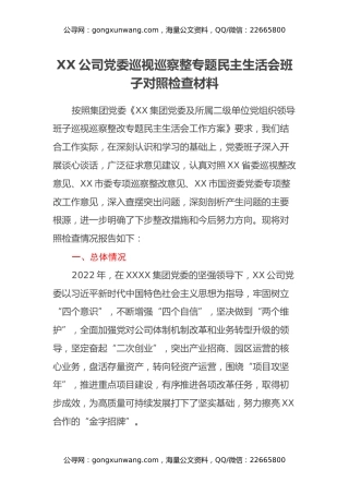 XX公司党委巡视巡察整改专题民主生活会班子对照检查材料