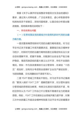 XX公司安全生产分管领导巡视整改专题民主生活会发言提纲