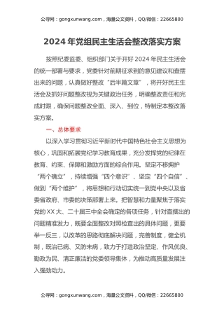 2024年党组民主生活会整改落实方案