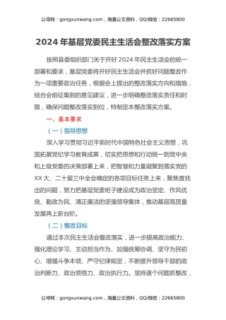 2024年基层党委民主生活会整改落实方案