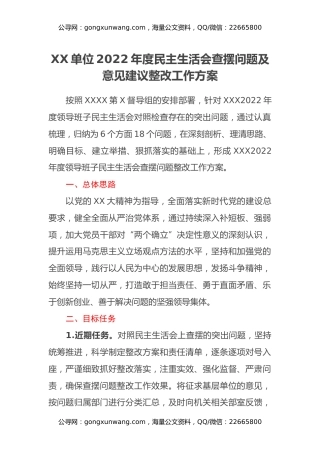 XX单位2022年度领导班子民主生活会问题整改工作方案
